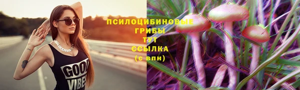 jwh Козельск