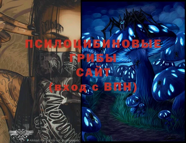 спайс Козловка